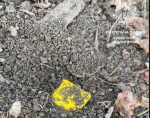 Патрульні виявили цікаву “знахідку” по фотографії з координатами