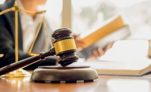 На Донеччині прокуратура домоглась повернення громаді сільгоспугідь вартістю понад 51 млн грн