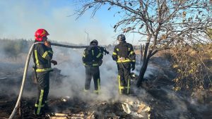 Майже 90% пожеж на Донеччині через необачність людей — інспекторка ДСНС