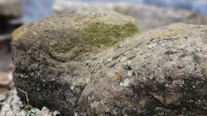 До Дніпра привезли дві кам’яні баби з Донеччини віком понад 800 років