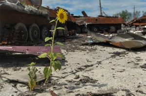 За два роки повномасштабного вторгнення рф нанесла шкоди українському довкіллю на майже 63 мільярди доларів США