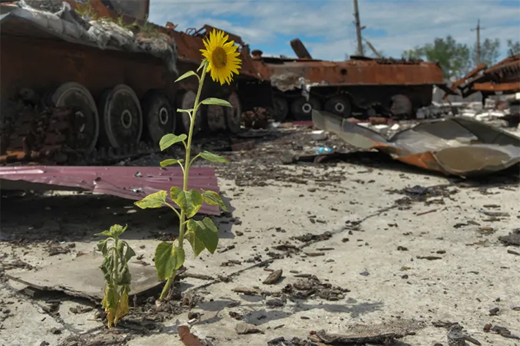 За два роки повномасштабного вторгнення рф нанесла шкоди українському довкіллю на майже 63 мільярди доларів США