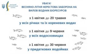 З 1 квітня починається весняно-літня нерестова заборона у Донецькій області