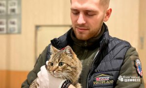 У Слов’янську безкоштовно стерилізували та вакцинували тварин (фото)