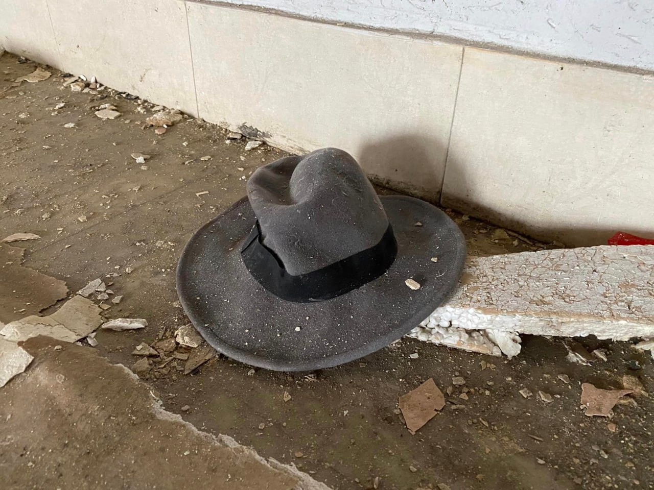 photo 5465512074080803239 y