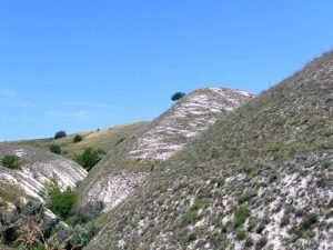 На північно-східній околиці Краматорська створена перша Охоронна зона для збереження об’єктів Червоної книги України