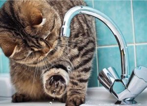 Незручності через ремонт водогону: мешканці Слов’янська та інших міст залишаться без води