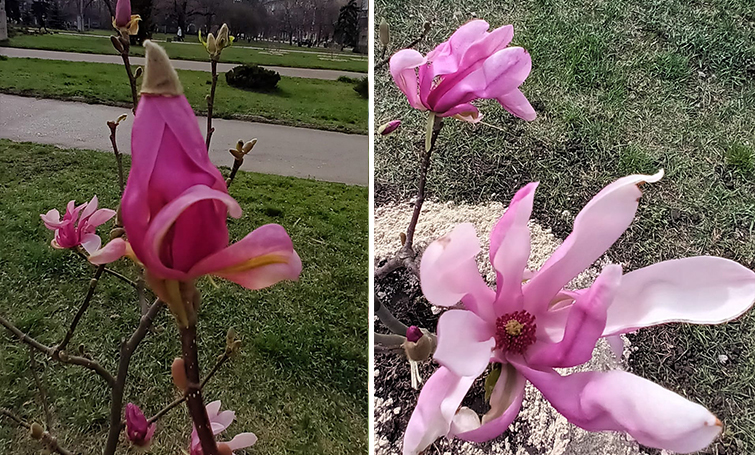 434433218 1489834278273684 8956299610828912587 n