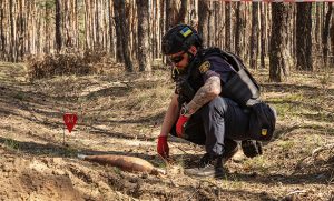 Піротехніки б’ють на сполох: небезпека в лісах на Донеччині ще не минула