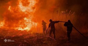 На Донеччині оголошено надзвичайну пожежну небезпеку