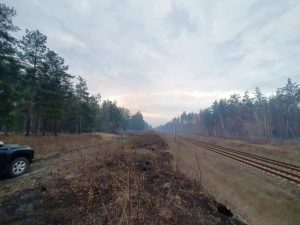 Лісові пожежі в Лиманському та Ямпільському лісництвах: наслідки обстрілів