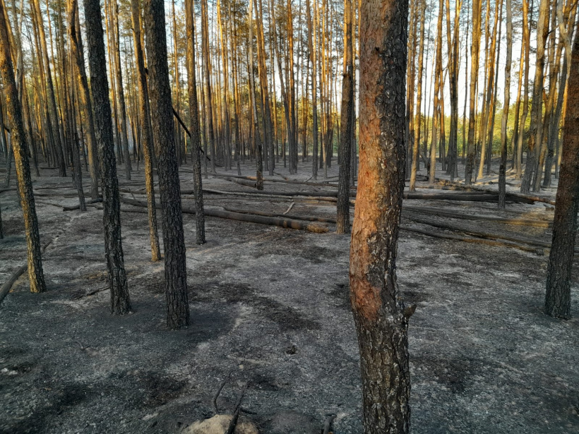 4362706197472918341788617184893628779950777n 1 820x360