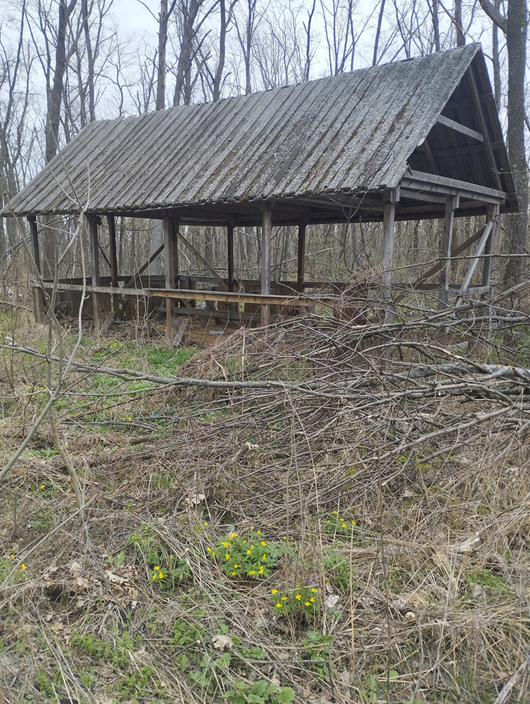 436365981 833726958798716 5365113959844635362 n