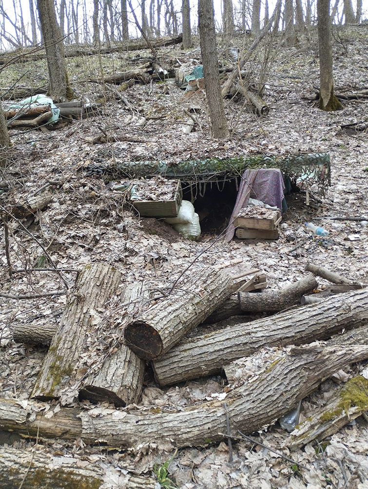 436815357 833726778798734 8419072710093069776 n