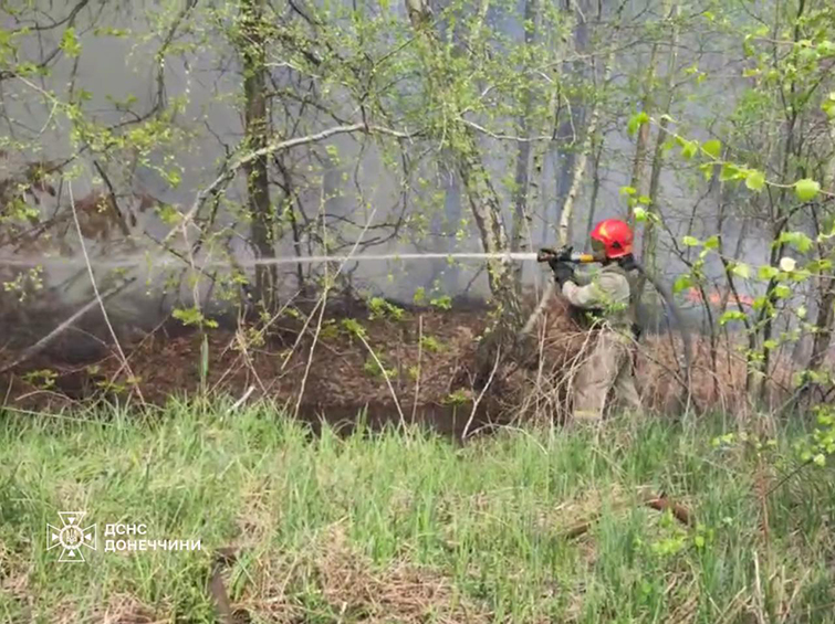 В Щурово ліквідували пожежу на площі 20 га