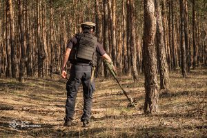 Піротехніки ДСНС на Донеччині виявили та знищили 747 одиниць вибухонебезпечних предметів