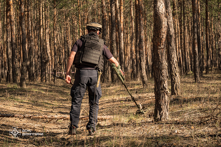 Піротехніки ДСНС на Донеччині виявили та знищили 747 одиниць вибухонебезпечних предметів
