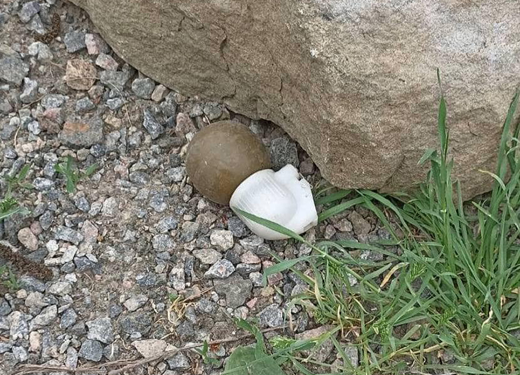 У Краматорську знайшли гранату на узбыччі дороги