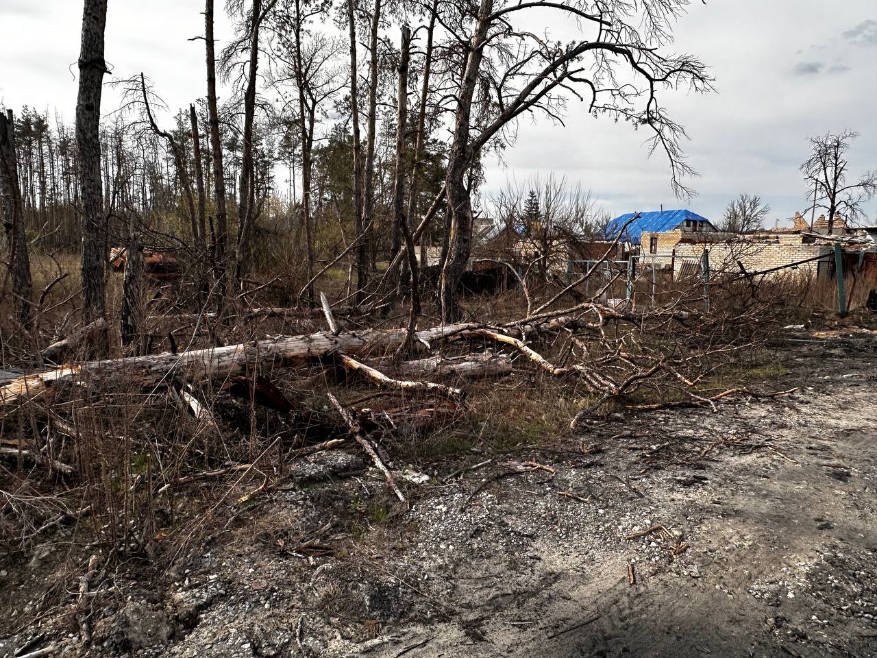 438082067 842739621230783 7680760389653023721 n