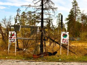 Як зараз виглядає природний парк “Святі Гори” після активних бойових дій. Фото