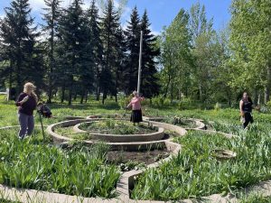 Хто ще не брав участі в толоці у сквері Мрія? Приходьте! Можна з квітами