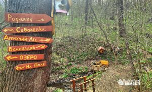 Неймовірна краса весняного «Соболівського лісу» у фотографіях