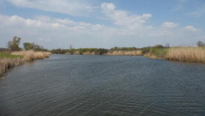 У Дружківці рятувальники вилучили із річки тіло чоловіка.