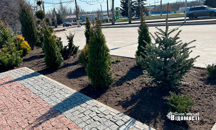 photo 5202115495187307154 y