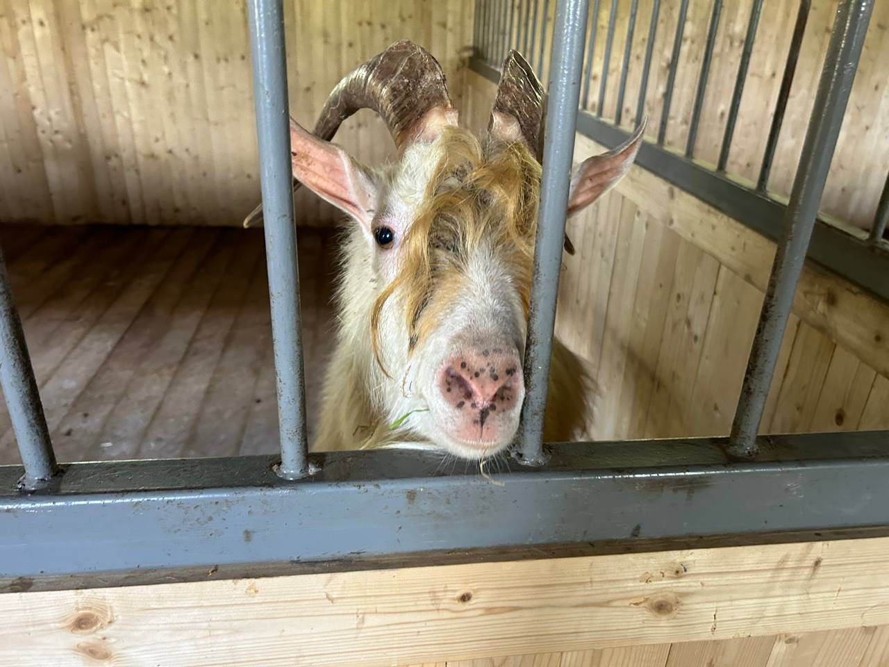 photo 5253795646954133965 y