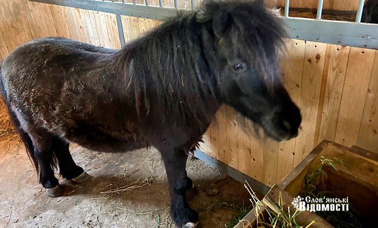 photo 5253795646954133994 y