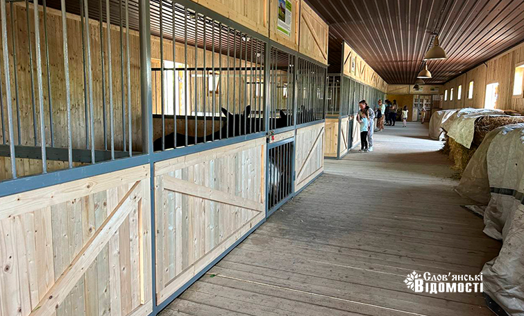 photo 5253795646954133999 y