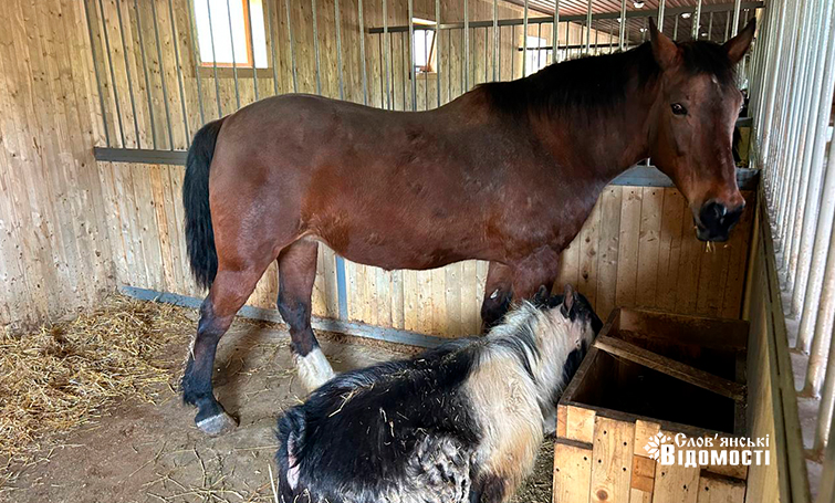 photo 5253795646954134001 y