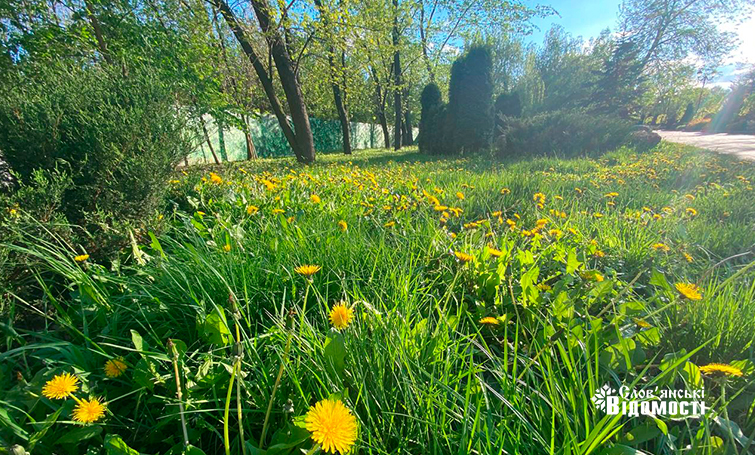 photo 5265168346691787210 y