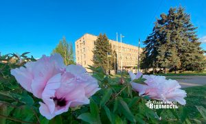Фотозона на площі Соборній: у центрі Слов’янська розквітли деревовидні піони. Фото
