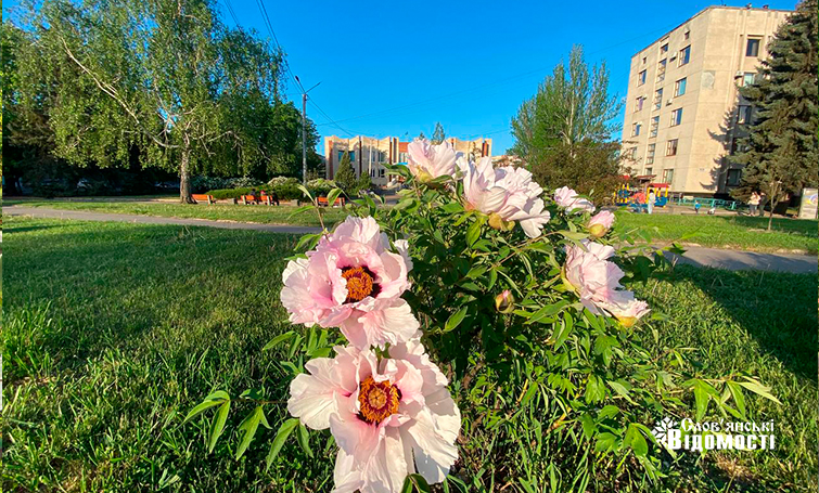 photo 5275995366539517505 y