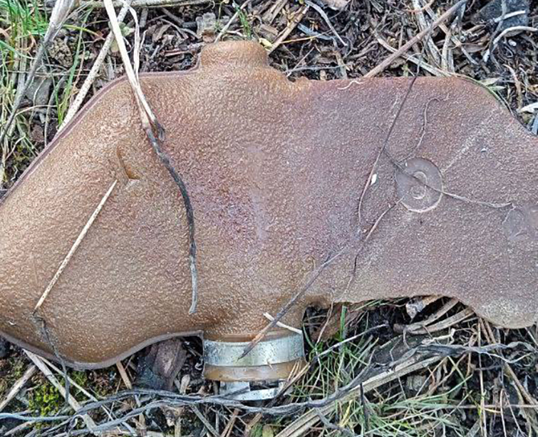 Національний природний парк “Святі гори” має термінову потребу в ранцевих вогнегасниках