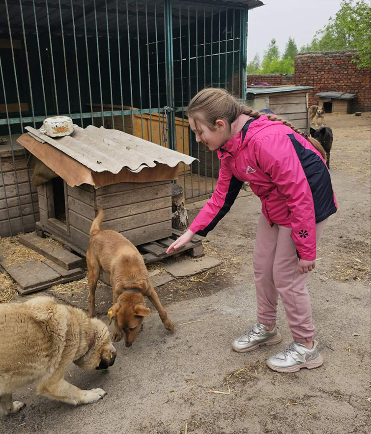 viber 2024 04 26 16 02 39 068