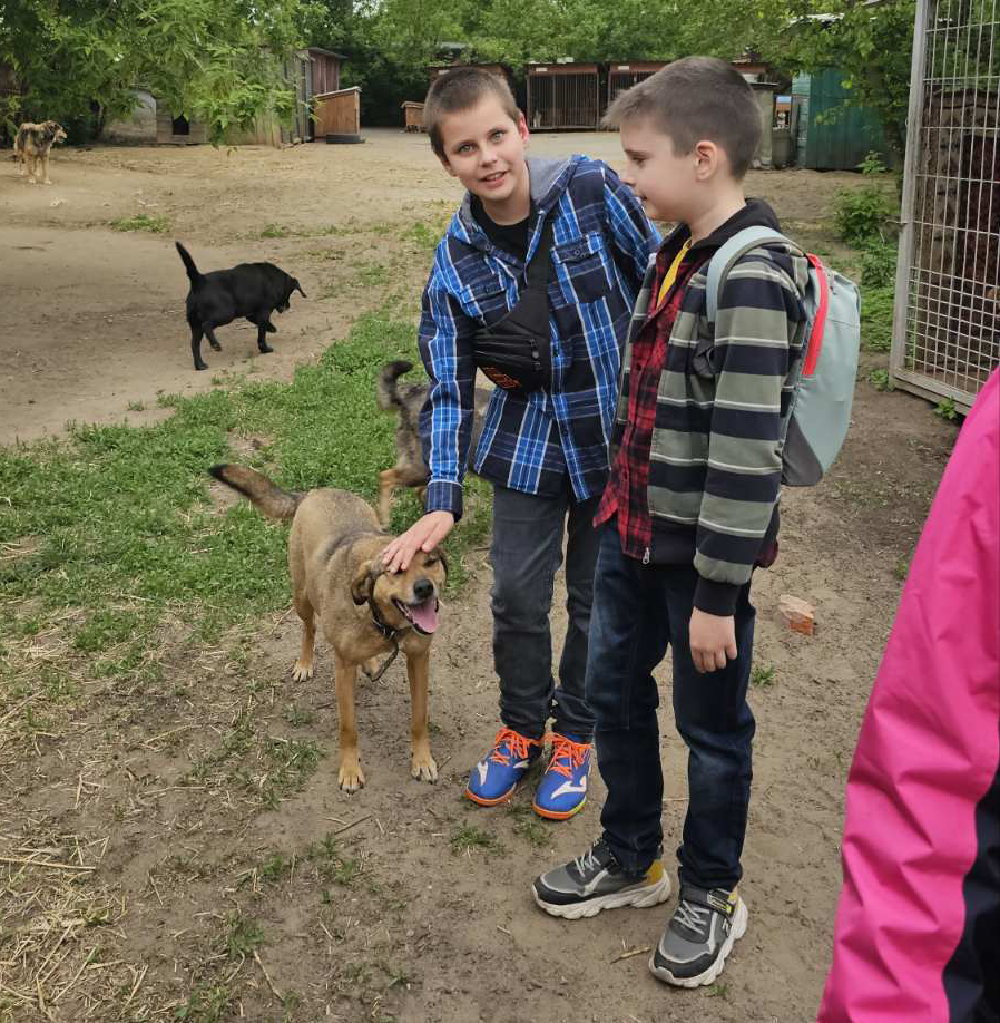 viber 2024 04 26 16 02 39 451