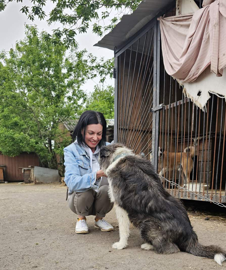 viber 2024 04 26 16 02 43 652