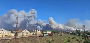 Горять лиманські ліси. Фото