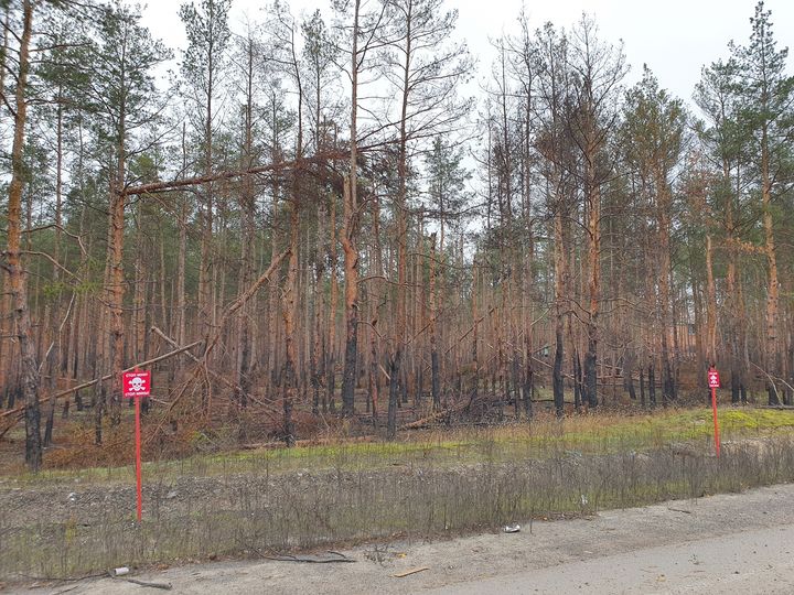 У Лиманському районі діє заборона на відвідування лісів