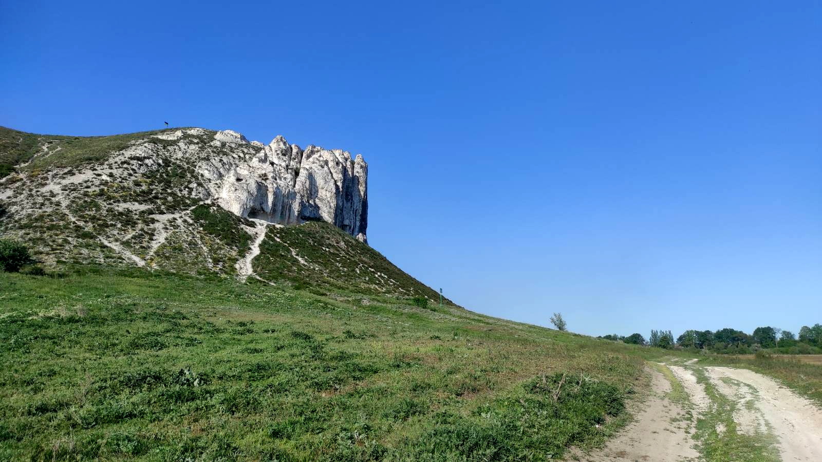 440348233 6990593774379332 3632577913316266471 n