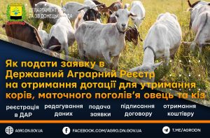 Як подати заявку в Державний Аграрний Реєстр на отримання дотації для утримання корів, маточного поголів’я овець, кіз