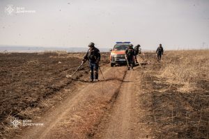 Піротехніки ДСНС обстежили понал 230000 кв. м територій Донеччини
