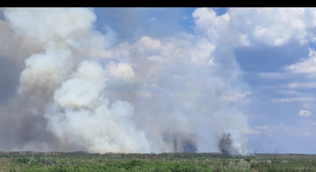 Лиманські ліси знову під ворожими обстрілами