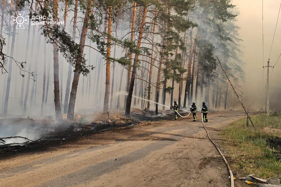 Яка площа лісу на Лиманщині вигоріла у травні та скільки часу треба, щоб відновити