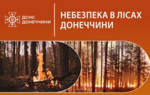 Небезпека в лісах Донецької області