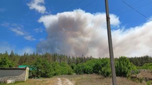 На Лиманщині горів ліс. Яка ситуація зараз
