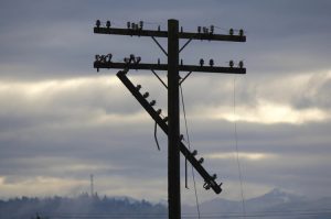 Сьогодні з 18:00 до 23:00 можливі відключення споживачів е/е по всій Україні