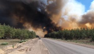 Понад 2,6 млрд грн — орієнтовна сума збитків довкіллю Нацпарку «Святі Гори» через пожежі в лісах 7 травня